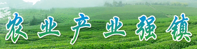 【智慧农业】全国乡村产业系统信息宣传交流活动举行