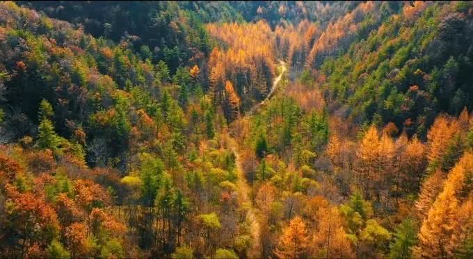 【乡村振兴】留坝县高江路入选“2019全国美丽乡村路”