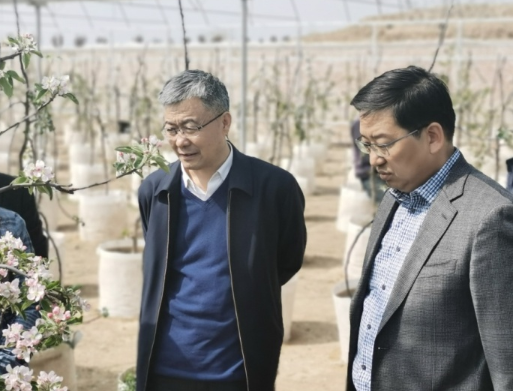 【智慧农业】陕西省农业农村厅党组成员、省果业中心党委书记高武斌赴铜川、咸阳调研果业春季生产