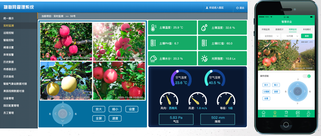 a76fbbad207db9e84e90eedbc55e5215.png
