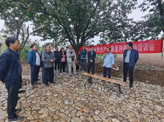 【乡村产业】西安市蓝田县玉山镇召开农业特色产业黑麦种植现场培训会