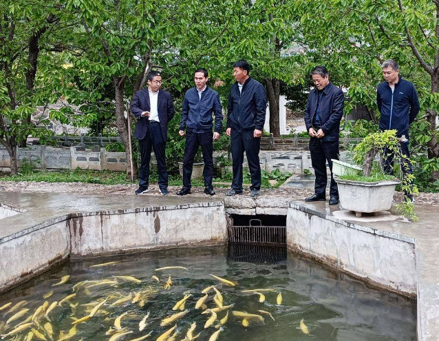【甘肃冷水鱼】甘肃虹鳟鱼养殖面积达370余亩