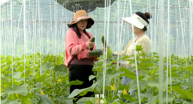 【和美乡村】陕西佛坪的和美乡村实践：看教场坝村和王家湾村怎么做的？